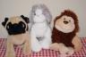 Pumpkin, Taffy, and Rose (our webkinz pets)