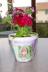My flowers from Julia for Mother's Day
