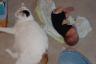 Shelby is much bigger than baby Jace!
