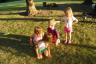 Julia was the dog trainer and the rest of them are dogs