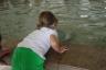 Petting the stingrays
