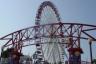 The Navy Pier