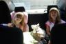 On our way to Chicago!