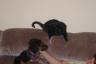 Haley is telling Miley SHE is the boss around here