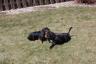 Miley and Maggie having fun