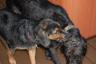 Miley and Maggie having fun playing 