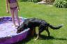 Miley gets to check out the wading pool