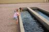 feeding the trout at the hatchery