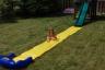 a slip-n-slide day