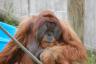 Como Park Zoo