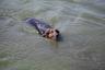 and Miley goes swimming!