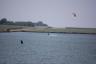 Charlie is out kiteboarding!