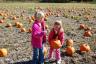 Julia picked her pumpkin