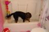 Miley beat Julia into the bathtub!