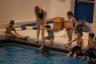 Learning how to dive