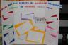 Callie's Science Fair Project