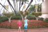 pretending to be ostriches