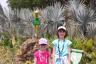 The fairy gardens