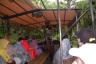 The Jungle Cruise