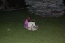 Catching Lightning bugs!