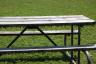 They are almost like bats - hanging under this picnic table