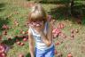 Julia with her apples on her back