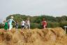 They played on the hay
