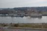 the view