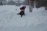 Miley wasn't so sure about sinking in the snow at first but then she loved it