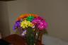The flowers my mom gave me for Easter 