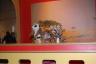 The girls put on a puppet show