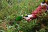 We all felt sorry for this pecked up one