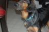 check out her drool -  ha!