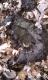 A footprint