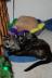 We don't see the cats this close together very often (Skittles and the kittens I mean)