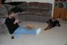 even the pets were hoping we would share!
