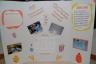 Callie's science fair project