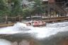 On the log ride