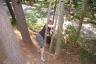 Callie had to find a tree with a similar circumference to her head