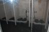The toilets were basically long troughs with seats on them