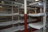 LOTS of bunks!