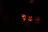 Elmo and other jack-o-lanterns