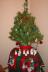 Our 'baby' tree