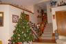 Our pretty tree