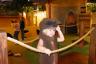 I'm a beaver!