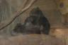 The baby is sleeping on her arm (on the left side of the picture)