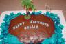 The Island Cake 