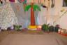 the survivor tribal council area