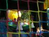 Jumping in the bounce house