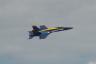 Blue Angels F/A-18 Hornet